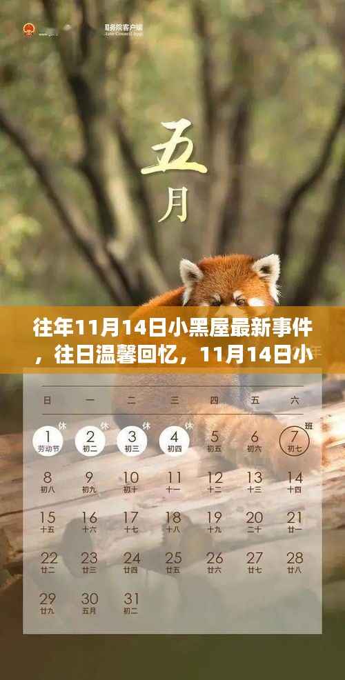 11月14日小黑屋,温馨回忆与奇妙际遇