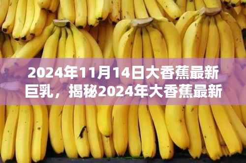 揭秘时尚前沿,揭秘2024年大香蕉最新巨乳趋势与产业新动态