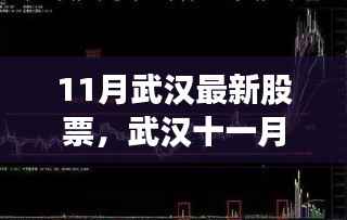武汉十一月股市风云中的温情故事与最新股票动态