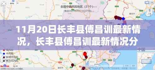 长丰县傅昌训最新情况分析,正反观点与个人立场聚焦