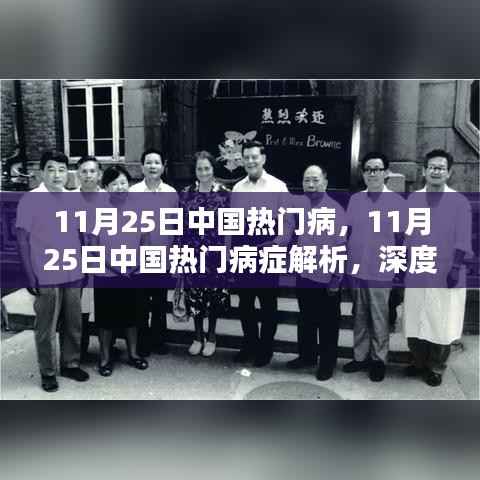 11月25日中国热门病症解析,深度探讨流行疾病及其防治策略
