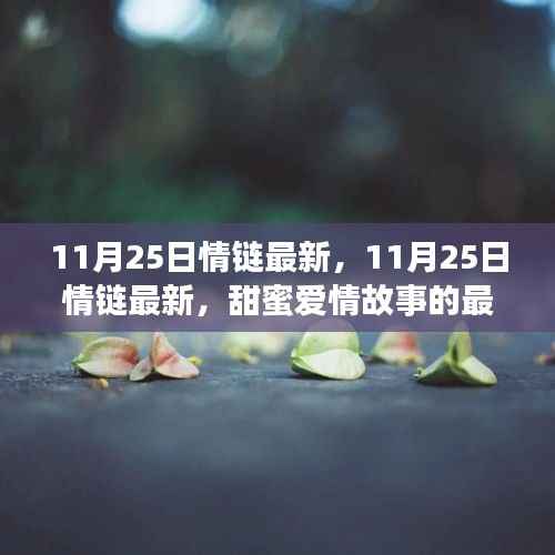11月25日情链最新章节,甜蜜爱情故事的触动心灵之旅