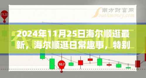 海尔顺逛日常趣事,特别之日的温馨邂逅报道(2024年11月25日最新)