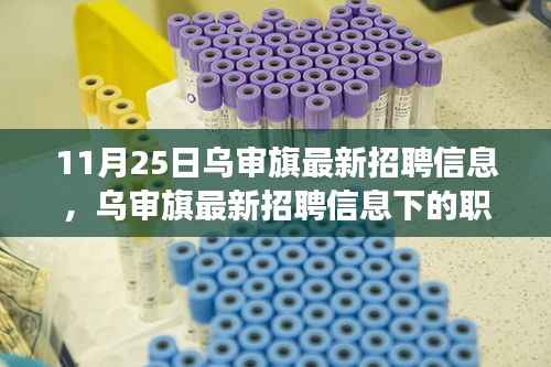 乌审旗最新招聘信息揭秘，职场机遇与挑战的深度解析与个人应对策略