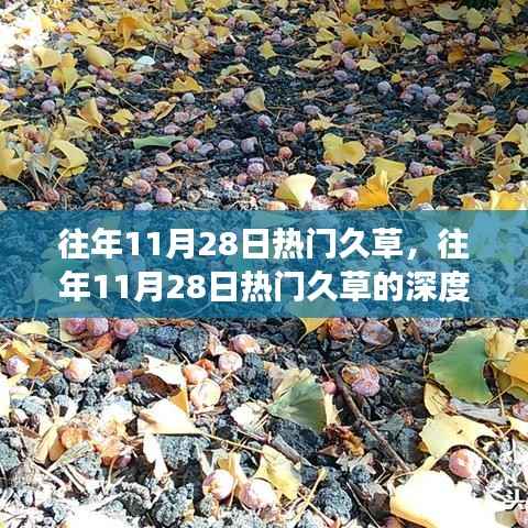 往年11月28日热门久草,深度解析与观点碰撞的久草文化盛宴