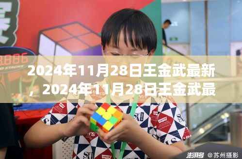 王金武最新动态揭秘,探索成功之路的新篇章,2024年11月28日