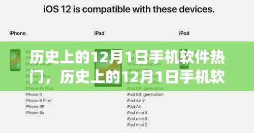 深度解析,历史上的12月1日手机软件热门事件聚焦与观点探讨