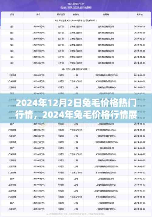 2024年兔毛价格行情展望与市场动态解析