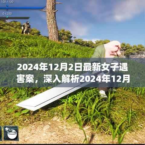 2024年12月2日最新女子遇害案,深入解析2024年12月2日女子遇害案,社会、法律与安全的视角