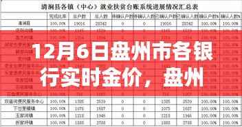 12月6日盘州市各银行实时金价大全,查询指南与必备技能
