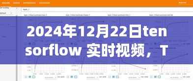 TensorFlow实时视频,探索Tensor流中的自信与成长,启示与展望(2024年12月22日实时视频)