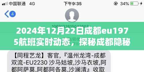 探秘成都隐秘小巷与EU1975航班下的美食风情,航班实时动态追踪报道