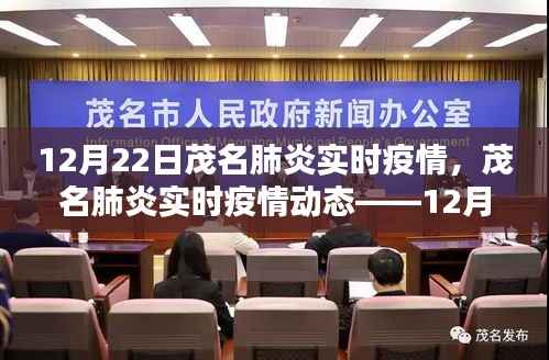 茂名肺炎实时疫情动态解析,深度报告,12月22日最新数据