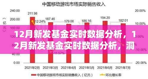 12月新发基金实时数据分析,市场趋势与投资机会洞察