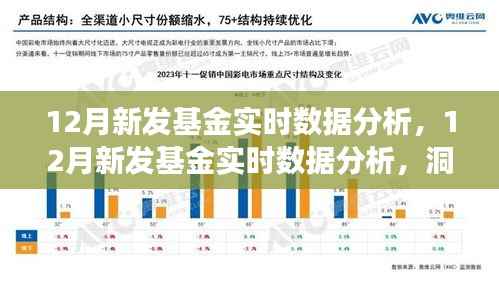 12月新发基金实时数据分析,市场趋势与投资机会洞察