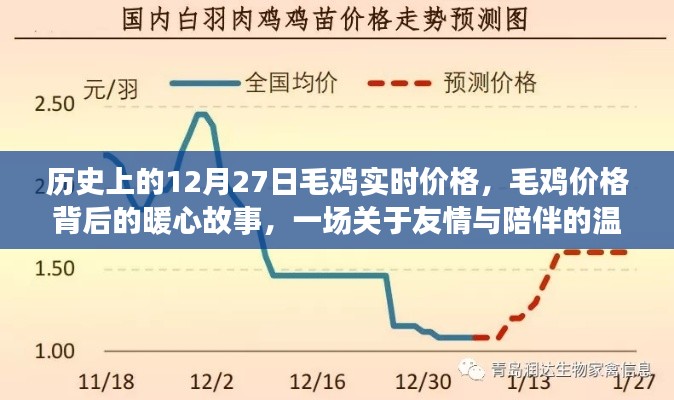 毛鸡价格背后的暖心故事,友情与陪伴的温馨旅程在历史上的今天——毛鸡实时价格记录与故事分享