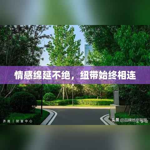 情感绵延不绝,纽带始终相连