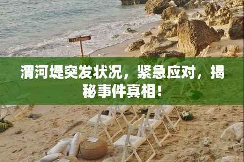 渭河堤突发状况,紧急应对,揭秘事件真相!