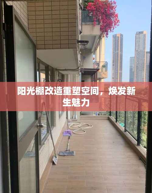 阳光棚改造重塑空间,焕发新生魅力