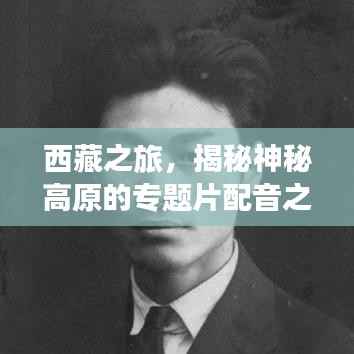 西藏之旅,揭秘神秘高原的专题片配音之旅