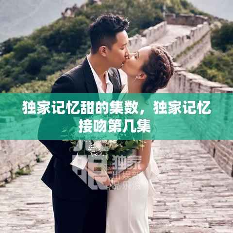 独家记忆甜的集数,独家记忆接吻第几集