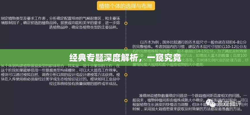 经典专题深度解析,一窥究竟