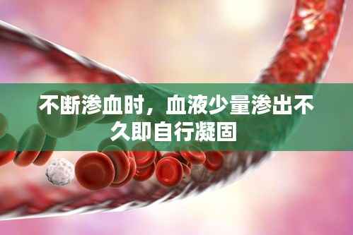 不断渗血时,血液少量渗出不久即自行凝固