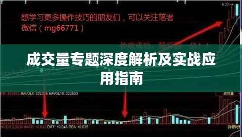 成交量专题深度解析及实战应用指南