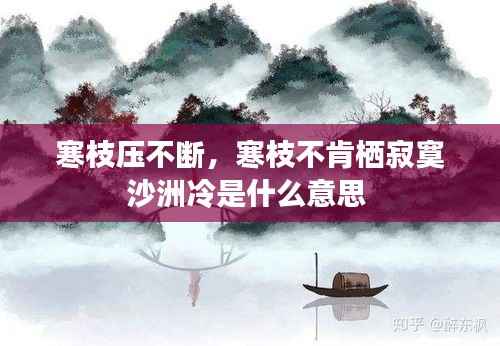 寒枝压不断,寒枝不肯栖寂寞沙洲冷是什么意思