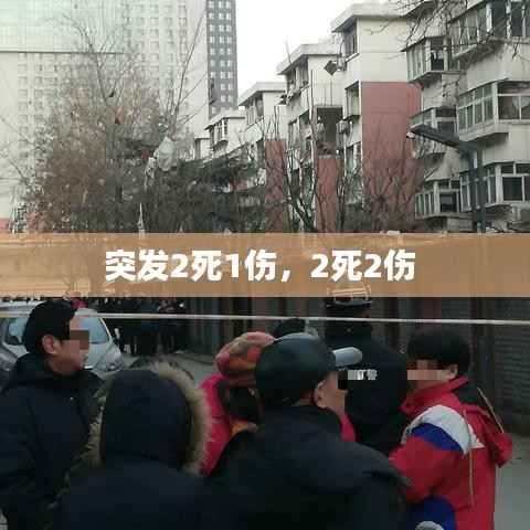 突发2死1伤，2死2伤 