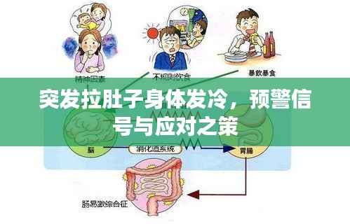 突发拉肚子身体发冷,预警信号与应对之策