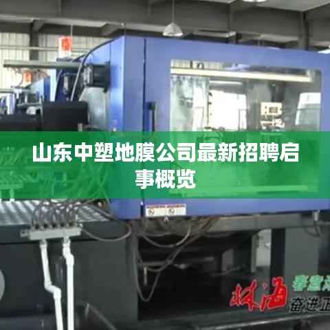 山东中塑地膜公司最新招聘启事概览