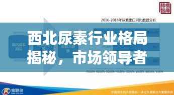 西北尿素行业格局揭秘,市场领导者前十排名解析!