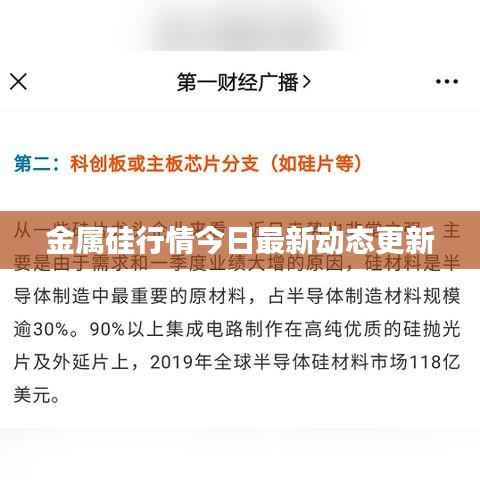 金属硅行情今日最新动态更新