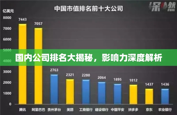 国内公司排名大揭秘,影响力深度解析