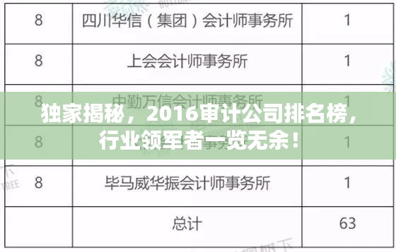 独家揭秘,2016审计公司排名榜,行业领军者一览无余!