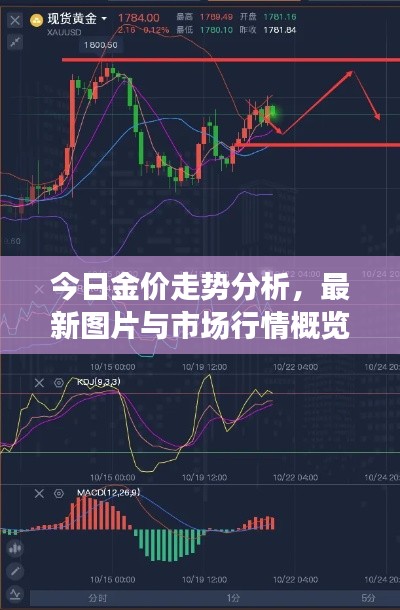 今日金价走势分析,最新图片与市场行情概览