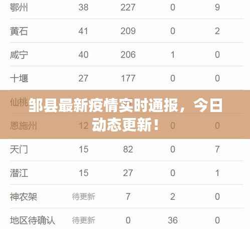邹县最新疫情实时通报,今日动态更新!