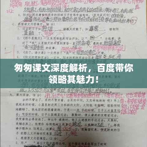 匆匆课文深度解析,百度带你领略其魅力!