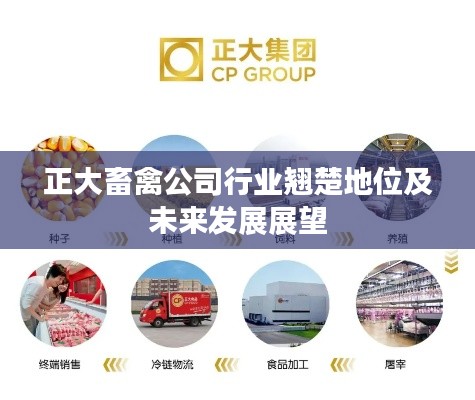 正大畜禽公司行业翘楚地位及未来发展展望