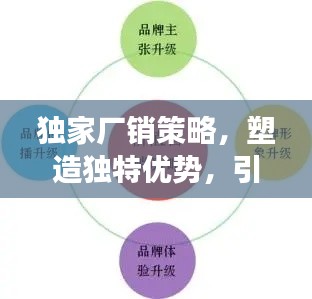 独家厂销策略,塑造独特优势,引领市场潮流风向标
