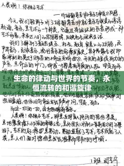 生命的律动与世界的节奏,永恒流转的和谐旋律