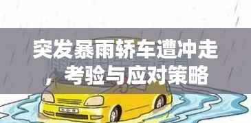 突发暴雨轿车遭冲走,考验与应对策略