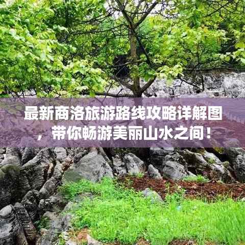 最新商洛旅游路线攻略详解图,带你畅游美丽山水之间!