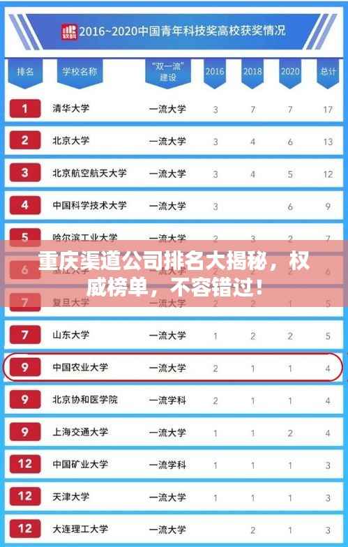 重庆渠道公司排名大揭秘,权威榜单,不容错过!