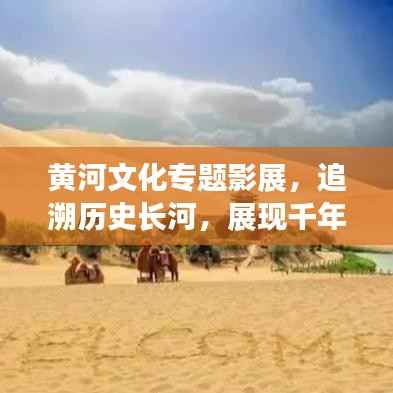 黄河文化专题影展,追溯历史长河,展现千年魅力