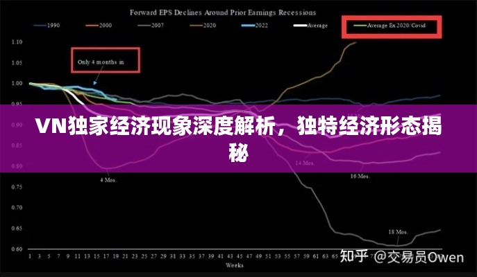 VN独家经济现象深度解析,独特经济形态揭秘