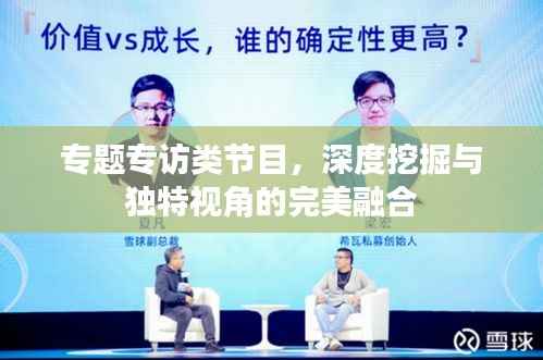 专题专访类节目,深度挖掘与独特视角的完美融合